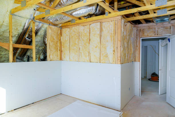 Best Insulation for New Construction  in Detroit, MI