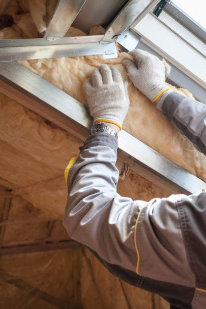 Best Soundproof Insulation Installation  in Detroit, MI