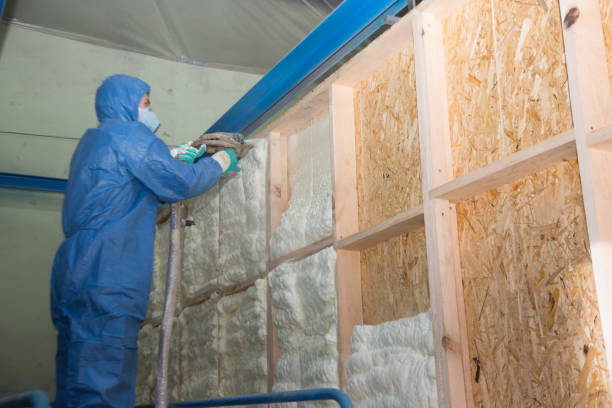 Best Insulation Repair Services  in Detroit, MI